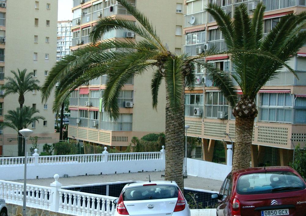 Don Miguel 1 - Arca Rent Daire Benidorm Dış mekan fotoğraf